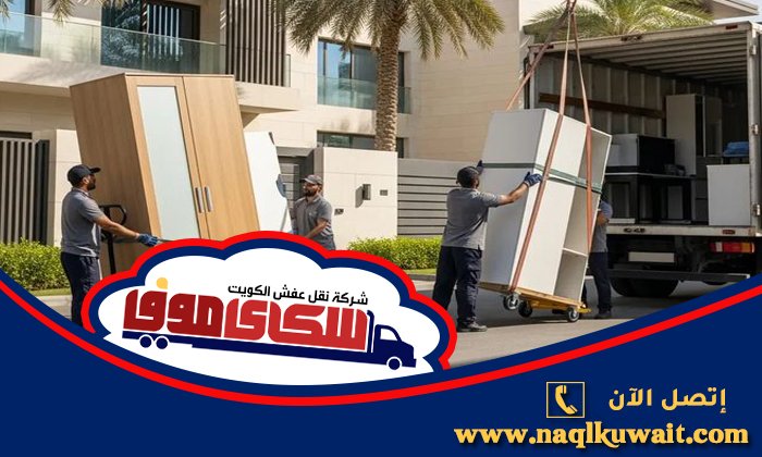 قط اغراض تالفة